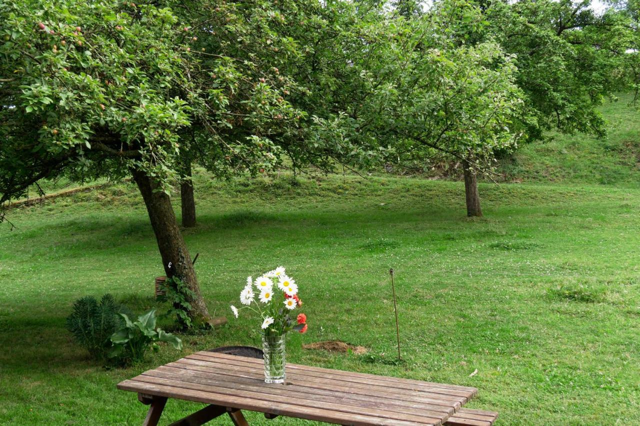 La Petite Maison O Bord De L'Eau Bernieres-le-Patry Luaran gambar