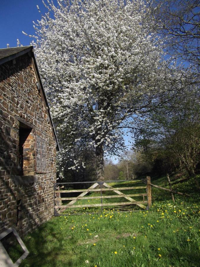 La Petite Maison O Bord De L'Eau Bernieres-le-Patry Luaran gambar